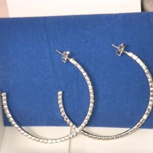 Avon Shimmering Rhinestone Hoop Earrings